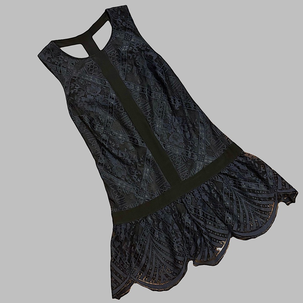 Twelfth Street by Cynthia Vincent lace dress